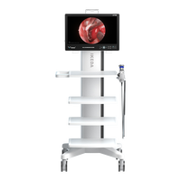 Système de caméra d'endoscopie médicale intégrée Full HD IKEDA avec moniteur 22 pouces et imagerie chirurgicale