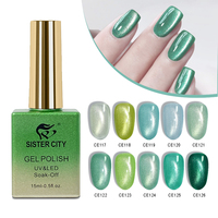 Vernis à ongles gel magnétique œil de chat français 15 ml pour nail art DIY, gel UV/LED non toxique en flacon