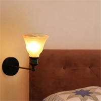 Abat-jour en verre alabastro pour ventilateur de plafond, style moderne, minimaliste, traditionnel, chinois, industriel