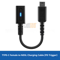 Adaptateur de chargeur USB-C vers DS Lite NDSL Tideseer 10 cm |   Modèle 06 PD NDSL Noir Charge rapide haute vitesse