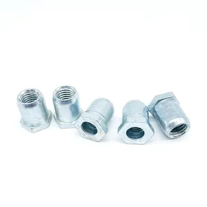 Fastener Custom High-Quality Zinc Steel Hex Round Coupling Internal Thread Hex Rivet Nut