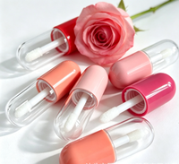 Vente en gros de tubes à gloss à lèvres en capsule de 5 ml, tubes vides, flacons de recharge portables pour gloss à lèvres, contenants d'emballage cosmétique