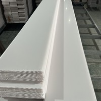 Paneles de Pared y Techo de PVC con Diseños Similares a la Madera, con Estampado en Caliente