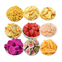Mini Home Vriesdroger 4kg RVS Fruit & Groente Droger met Vacuümvriesdroging Reyes Merk 220V Eenvoudig te Gebruiken