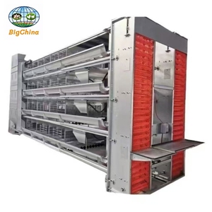 Gallinero, Jaula <span class=keywords><strong>de</strong></span> Acero Galvanizado para Gallinas Ponedoras, Jaula para Pollos <span class=keywords><strong>de</strong></span> Engorde, Jaula Automática para Pollos - Buscando Distribuidores y Agentes Globales - Product Image 4