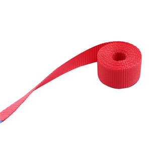 <span class=keywords><strong>Sangle</strong></span> <span class=keywords><strong>à</strong></span> <span class=keywords><strong>cliquet</strong></span> en polyester de 25 mm (1 pouce) sans fin pour le chargement et le serrage de marchandises, longueur 2 m ou autre - Product Image 5