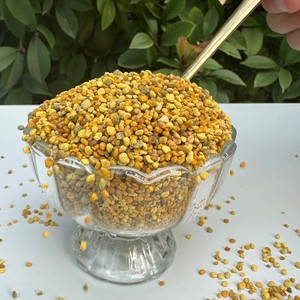 Polen de Abeja Natural de Grado Alimenticio, 100% Puro, Certificado HACCP, en Bolsa a Granel, Gránulos de Miel de Girasol Frescos de Alta Calidad - Product Image 2