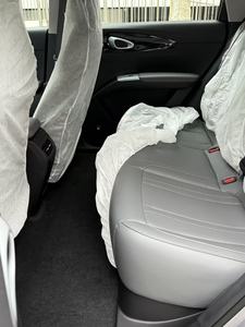 Geely Star Wish Dream Edition 26 con Autonomia di 310 Chilometri - Product Image 3