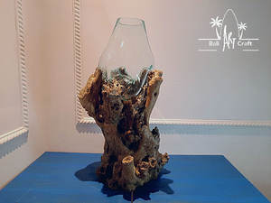 Kit <span class=keywords><strong>de</strong></span> bricolaje <span class=keywords><strong>para</strong></span> Terrario <span class=keywords><strong>de</strong></span> taza <span class=keywords><strong>de</strong></span> té, botella semiabierta decorativa, suministros <span class=keywords><strong>de</strong></span> maceta <span class=keywords><strong>para</strong></span> terrario, tapa <span class=keywords><strong>de</strong></span> corcho <span class=keywords><strong>para</strong></span> terrario - Product Image 2