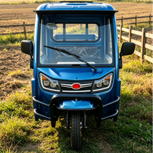 Triciclo EEC COC L2e per Trasporto Merci con Batteria al Piombo-Acido 72V 58AH a Lunga Durata, Sterzo Agile, Spazio Minimo di Parcheggio - Product Image 2