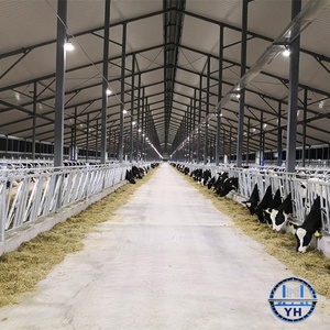Bâtiment d'élevage en structure acier préfabriquée à faible entretien, antirouille, avec une durabilité supérieure - Product Image 4