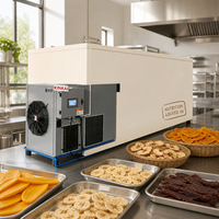 Durian Droogmachine Warmtepomp Fruitdroger voor Thaise Durianchips