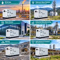 Groupe électrogène Cummins 75 kW 93,75 KVA au GNC, GNL, GPL, biogaz, gaz de pétrole naturel, pour pipeline, dépon de déchets, eaux usées, triphasé, pour champ pétrolier, OEM ODM