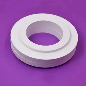 Big Size 99% Boron Nitride Ceramic Ring Washer BN Gasket For Vacuum Coating