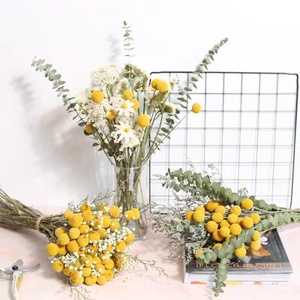 Long-Lasting Button Flower Yunnan Factory High Quality Direct Bulk Dried Craspedia One-Stop Custom for Wedding Home Office Decor - Product Image 3