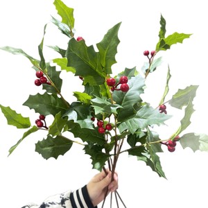 Nouvelle Conception Moderne <span class=keywords><strong>Plante</strong></span> Artificielle Végétale Écologique et Naturelle pour Décoration Intérieure et Extérieure, Richesse Hivernale Verte - Product Image 5