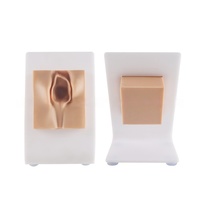 Modèle de pratique de suture en obstétrique et gynécologie Module de formation à la suture vulvaire périnéale Simulateur de compétences de suture avancé