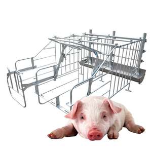 Système de cages Hengyin pour l'élevage : Cages de maternité pour truies - Product Image 4