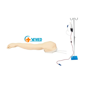 <strong>Full</strong> Functional Intravenous Infusion and Intramuscular Injection Arm Model Silicone and PVC Deltoid Vein Injection Model - Product Image 4