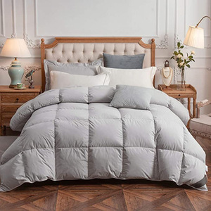 2025 Phổ Biến Thoải Mái Bông Ấm Mền Mô Hình Puffy Giường Duvet Quilted Comforter - Product Image 3