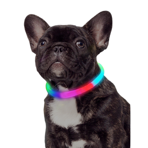 <span class=keywords><strong>Collar</strong></span> impermeable recargable para perro, <span class=keywords><strong>collar</strong></span> elegante de lujo para mascotas con iluminación para caminar de noche, collares de perro iluminados de seguridad - Product Image 1
