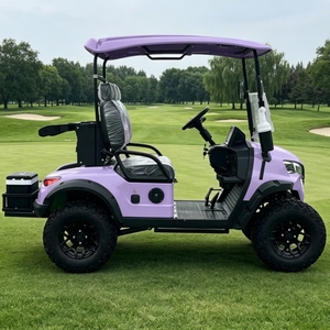 Carrito <span class=keywords><strong>de</strong></span> Golf <span class=keywords><strong>de</strong></span> Lujo para 2 Pasajeros <span class=keywords><strong>con</strong></span> Batería <span class=keywords><strong>de</strong></span> Litio, Homologado para Calle, <span class=keywords><strong>con</strong></span> Certificación CE DOT y Refrigerador para Golf y Recorridos Turísticos - Product Image 5