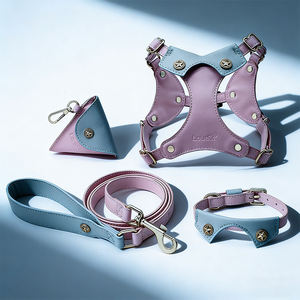 Harness, Tali, dan Kalung Anjing Kulit Lembut Mewah dan Lucu Grosir untuk Anjing Ukuran S,M,L,XL,XXL- Produsen Perlengkapan Hewan Peliharaan Kustom - Product Image 2