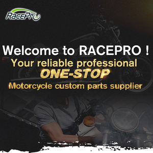 Silencieux d'échappement latéral RACEPRO moto pour BMW F650GS F650GS (2008-2012) <span class=keywords><strong>F800GS</strong></span> F700GS (2008-2015) - Product Image 6