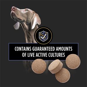 Suplementos <span class=keywords><strong>Pro</strong></span> <span class=keywords><strong>Plan</strong></span> FortiFlora, Probióticos Diarios para Perros, Tabletas Masticables, Salud Digestiva e Intestinal, Apoyo Inmunológico, Alivia la Diarrea - Product Image 4