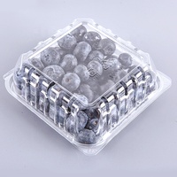 Boîte plastique perforée en plastique PET 125G,  emballage de fruits frais, boîte en plastique avec trous