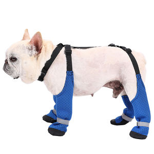 Motif solide anti-dérapant respirant en caoutchouc pour <span class=keywords><strong>chien</strong></span> chaussons mignon jarretelle <span class=keywords><strong>chien</strong></span> chaussures trou de <span class=keywords><strong>chaleur</strong></span> pour plancher de bois dur chaussettes chaudes pour animaux de compagnie - Product Image 4