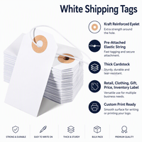 Étiquettes blanches vierges écologiques et résistantes, 100 pièces, personnalisables avec logo, vente en gros, étiquettes renforcées avec cordon élastique