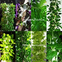 Tour de Culture Hydroponique pour Fraises Système Aquaponique Verticale Jardin Jardinière Tour de Culture Hydroponique