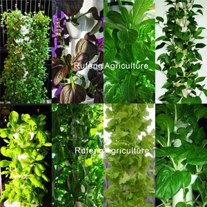 <span class=keywords><strong>Tour</strong></span> de Culture <span class=keywords><strong>Hydroponique</strong></span> pour Fraises Système Aquaponique Verticale Jardin Jardinière <span class=keywords><strong>Tour</strong></span> de Culture <span class=keywords><strong>Hydroponique</strong></span> - Product Image 5