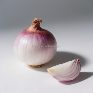 Cebollas Rojas orgánicas de alta calidad Nueva cosecha Variedades de exportación peladas frescas Saludables y naturales Buen precio al por mayor - Product Image 3