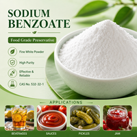 Benzoate de sodium de qualité alimentaire, pureté 99 %, CAS 532-32-1, conservateur, poudre de benzoate de sodium 25 kg