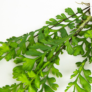 Tre forchette foglia di sedano erba artificiale <span class=keywords><strong>felce</strong></span> persiana appeso cesto di fiori decorazione <span class=keywords><strong>felce</strong></span>, erba artificiale - Product Image 4