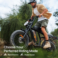 Vélo de montagne électrique T2 20 pouces 500W Batterie amovible Fourche en acier Pédale ordinaire Vélo électrique - Entrepôt UE/USA/Royaume-Uni