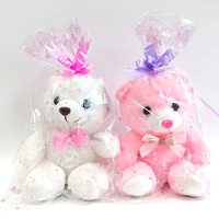 Cadeau pour la Saint-Valentin, ours en peluche lumineux LED de 23 cm, jouet en peluche lumineux, petit ours en peluche brillant