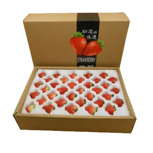 Boîte en papier avec impression et emballage personnalisée de fruits, vente en gros, boîte en carton pour fraises