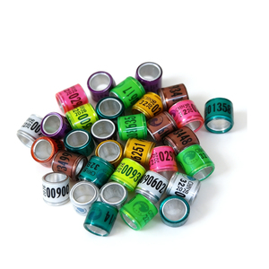 2025 Hoge Kwaliteit Klassieke Gepersonaliseerde Herbruikbare Racing <span class=keywords><strong>Pigeon</strong></span> <span class=keywords><strong>Ring</strong></span> van <span class=keywords><strong>Plastic</strong></span> met Naam voor Huisdieren Buitengebruik - Product Image 1