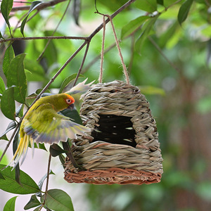 Nid d'oiseau en paille fait main, cage à oiseaux ronde suspendue de 17x14 cm pour oiseaux, cages pour animaux de compagnie - Product Image 1