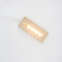 Support de lampe LED moderne en bois massif personnalisé pour veilleuse, base en hêtre 3D, support de lampe en acrylique DIY pour salon, commande par interrupteur