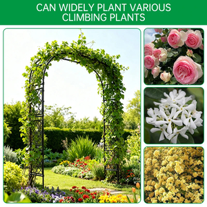 Arche de jardin en métal robuste avec revêtement PE 240x200x40cm, support pour plantes grimpantes d'extérieur, décoration de mariage et de fête - Product Image 2