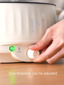 Hotsale <b>Portable</b> Factory Direct Household Electrical Boiling Pot <b>Electric</b> Hot Pot Multifunctional <b>Electric</b> Cooking Pot - Product Image 3