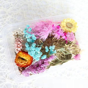 Paquete de flores secas E07119, paquete de flores prensadas para manualidades, para regalo - Product Image 4