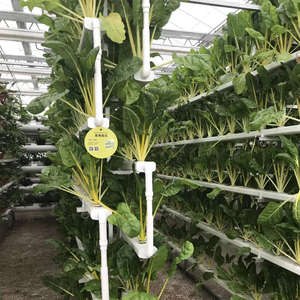 Système hydroponique de tour de tuyau en PVC en plastique NFT pour cultiver des légumes végétaux - Product Image 5