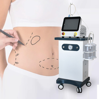 Liposuccion faciale professionnelle dispositif Laser Portable 980nm Diode Laser liposuccion amincissant Endolaser levage