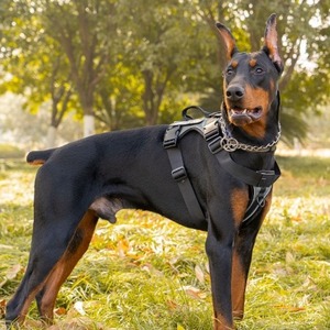 Harnais réfléchissant pour chien, gilet réglable avec sangle de poitrine et porte-étiquette d'identification pour la promenade en extérieur - Product Image 1