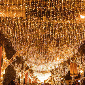 Guirlandes lumineuses étanches IP65 de type suspendu, dernières nouveautés 2026, idéales pour les fêtes de Noël, les mariages et la décoration - Product Image 1